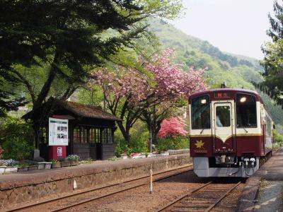 新緑を巡るレトロ旅、わたらせ渓谷鉄道