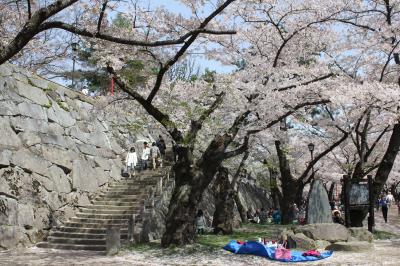 行きあたりばっ旅 vol.4-4／盛岡城跡公園