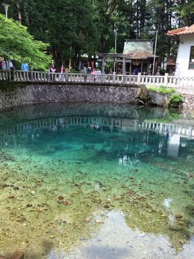 キレイなブルーの別府弁天池