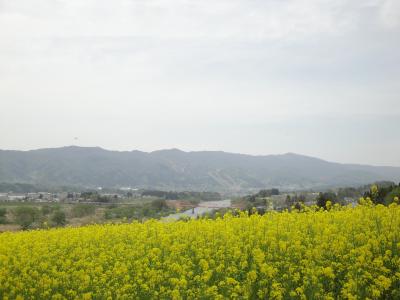 春の奥信濃(飯山~野沢温泉)