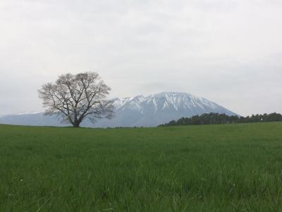 2016 盛岡へ  1日目