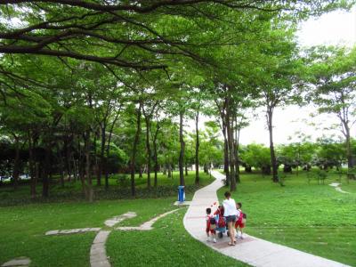 深セン福田区★深セン中心公園と深南中路のマンゴーの木