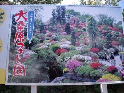 須賀川市の花の名所　『大桑原（おおかんばら）つつじ園』　パステルの丘が見頃に