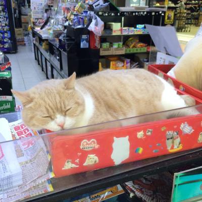 2016年4月 香港&台湾ひとり旅 香港編