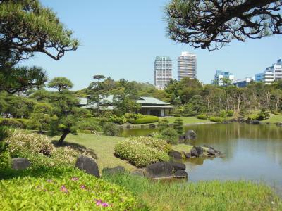 日本庭園　見浜園にも寄りました！