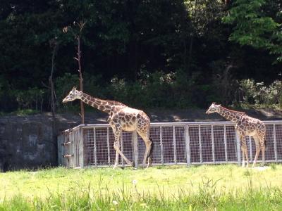 愛知県 東山動物園