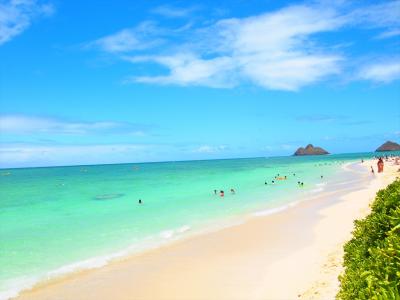 今年も行きたかった!弾丸ハワイ(3)