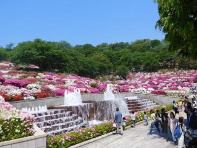 鯖江に　福井へ①