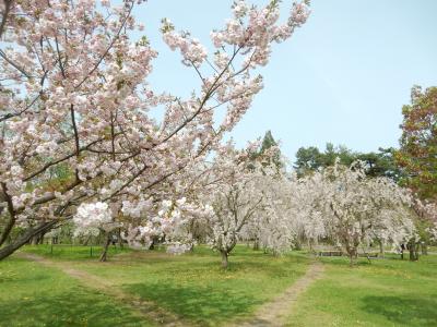 東北太平洋岸縦断旅行(2016/5/3～6) 1日目：弘前・十和田・八戸