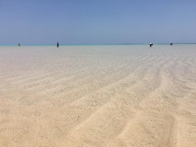 ”たそがれ”るってどうしたらいいんですか？ 与論島