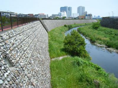 多摩川支流 野川を下る・・