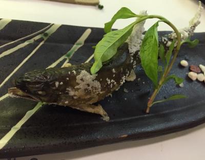 成田⇔ＮＹ間はＪＡＬ００４、００５便で往復の旅（サンパウロ⇔ＮＹ⇔成田／ブラジル）