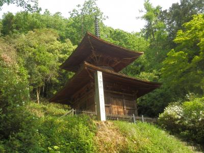 2016年5月GW 埼玉千葉の旅(1)　本庄市～秩父市　金鑽神社･旧新井家住宅など