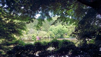 2016年新緑の京都①「竜安寺と仁和寺」ランチは宝ヶ池 ゆば泉で