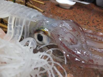 大宰府天満宮参拝と博多・佐賀の旅 2) 呼子・有田・嬉野 