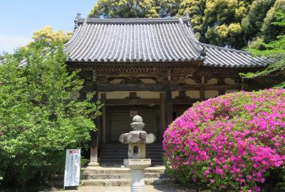 2016春、奈良のお寺の花(5/17)：長岳寺(5)：ツツジ、カキツバタ、本堂、鐘楼門