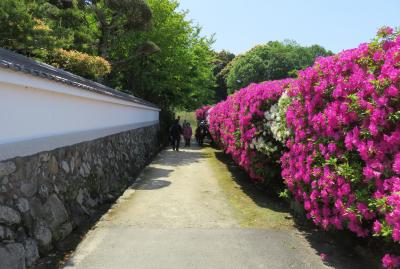 2016春、奈良のお寺の花(6/17)：長岳寺(6)：旧地蔵院、参道のツツジ、石塀、大門