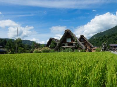  山代温泉・白川郷２日目