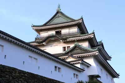 徳川吉宗将軍就任３００年の年に和歌山城登城