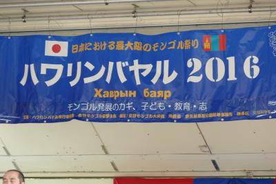 ハワリンバヤル 2016