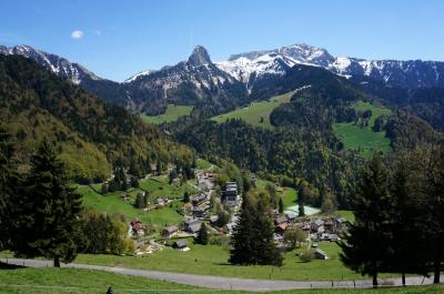 時計よ、止まれ！ゆったり流れるスイス時間を味わいに。。。　（２）　ジュネーブ到着、マンダリンオリエンタルにチェックイン！翌日はLes Avantsでプチ・ハイキング、「五月の雪」ナルシスに会えるかな？！