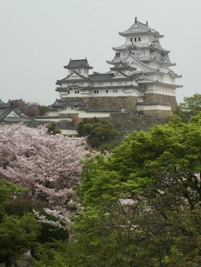 桜の季節の姫路城＆神戸クラブフロアステイ　～姫路城編～