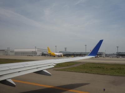 Boeing 737-800 に乗りました。大きなwinglet ですね。札幌行き，ANA 707便です。