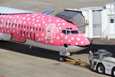 ジンベェＪＥＴに乗ろう