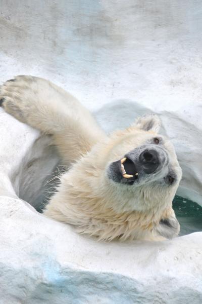 上野動物園