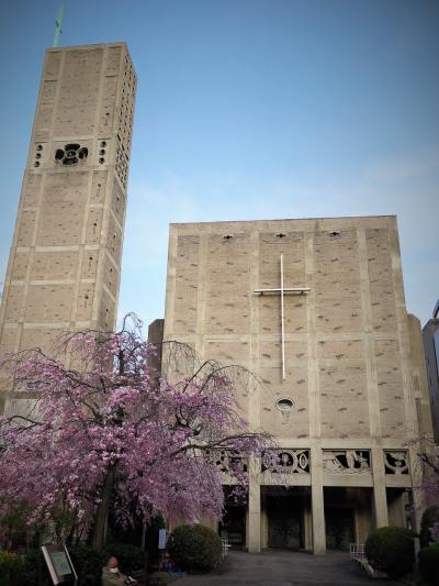 広島-7  世界平和記念聖堂　ローマ教皇像も　☆したれ桜の花に囲まれ