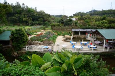 深セン坪山新区2★あなたの知らない深セン　金亀村（同石村）　縁起良さげなので行ってみたら農家樂が多いとこだった