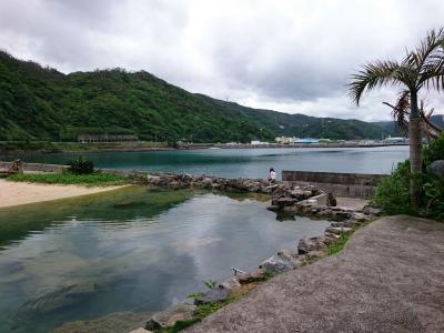 バニラエアで行く奄美大島の旅ふたたび　のんびり山羊島＆黒糖焼酎嗜む旅