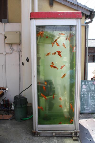 2016年5月　奈良県　「大和郡山城～三輪明神大神神社　②」