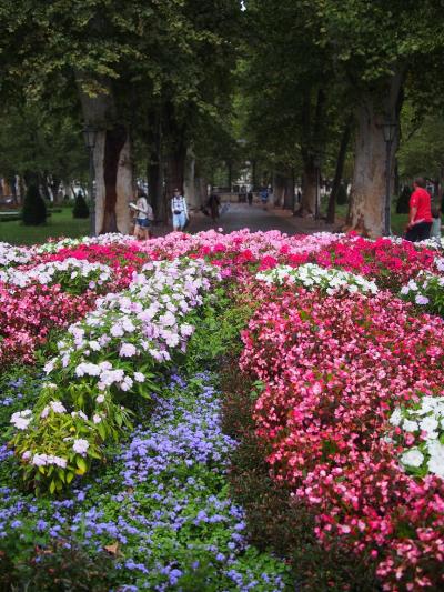 しっとり落ち着いた美しい首都 ~ザグレブ散策~