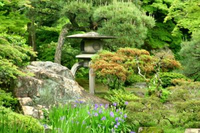 「京都迎賓館一般公開」と「大宮御所」（２）「大宮御所」