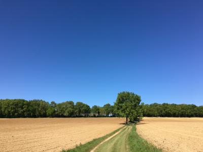 2016巡礼記(4年目)5日目 コムドン~モントレアル 17km