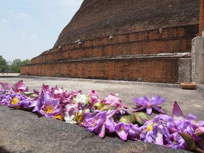 スリランカ文化三角地帯をぐるぐる巡り&いろいろ味わう旅【5】 アウカナ→アヌラーダプラ→トリンコマリー