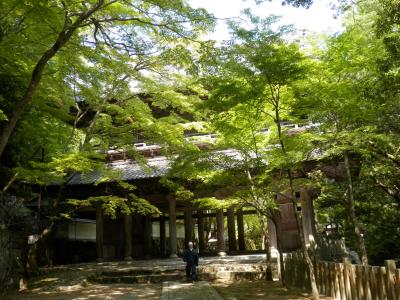 新緑爽やか～　永源寺  (滋賀県　東近江市）