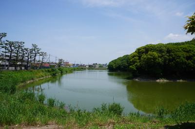 古市古墳群・当麻寺練供養から、御所まち・葛城山・葛城の道の旅（一日目前半）～夕方の練供養までの時間を使って、古市の古墳めぐり。住宅地の中に点在する古墳を地図を頼りに探し歩きます～