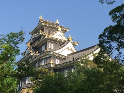 ★新緑の岡山城そして後楽園