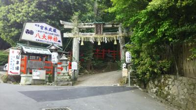 四年連続の京都　第二日目　５月４日（水）