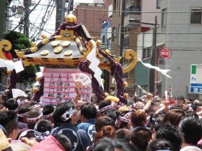 いくつになっても 大はしゃぎ！　2016年 浅草神社 「三社祭」