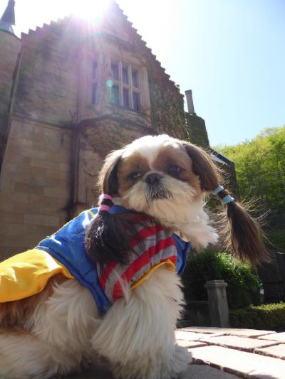 春の北軽井沢バカンス♪　Ｖｏｌ4　☆高山村　「ロックハート城」　愛犬と一緒に遊ぶ♪