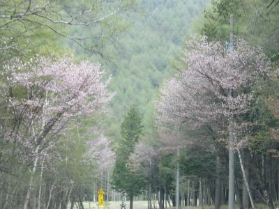 2016年　ＧＷ　長野　上林温泉　&amp;　車山高原　の旅 NO.2