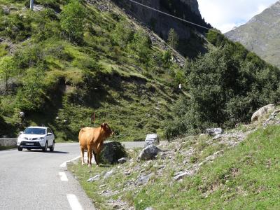 初秋のピレネー山脈～残暑の南仏エクサンプロヴァンスまでレンタカーで巡る旅　8　ガヴァルニー周辺、ルルド　gavarnie、lourdes