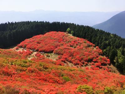 一目百万本のツツジが咲く葛城山に登る