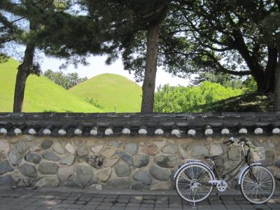 新緑の慶州      レンタサイクルでのんびり市内巡り♪   乙女心をくすぐるちょっと嬉しい韓服体験