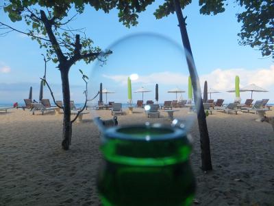 ワン & ニャンとのふれあい in Sanur　そしてついにアレをゲット！