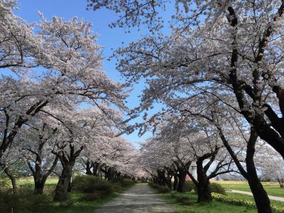 4度目の岩手　