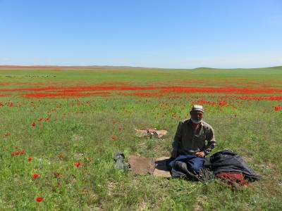 春の中央アジア・キルギス（１）　カザフスタン（アルマトイ） 